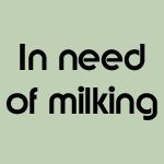 Funny T-Shirt designs from Real Outfitting, click to enlarge T shirt design
