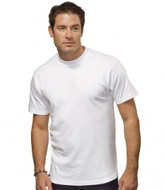 Custom Hanes Beefy T-Shirt